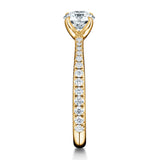 UU2640 Vela Solitatire Ring with Diamond Band