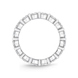 ERPP120_00 Precious Prong Diamond Eternity Ring