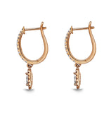 FEBQ118_00 Diamond Bouquets Dangling Earrings