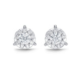 FEBQ126_00 Diamond Bouquets Studs Earrings