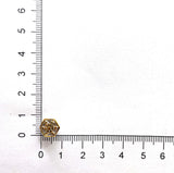 FECN110_00 Celebration Studs Earrings