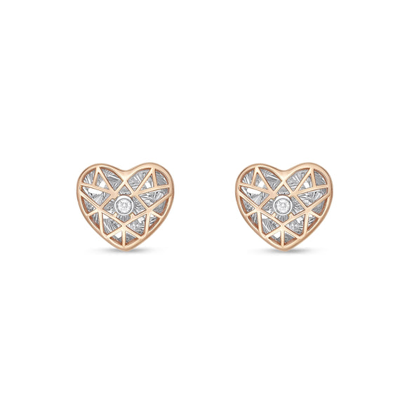 FECN132_00 Celebration Studs Earrings