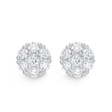 FECU158_00 Cluster Illusion-setting Earrings