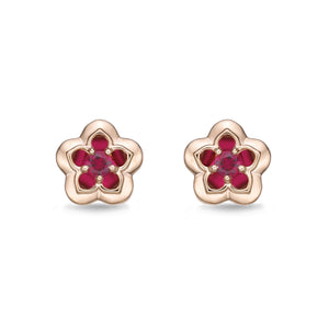 FEVL106_RU Valley of Light Ruby Illusion-setting Earrings