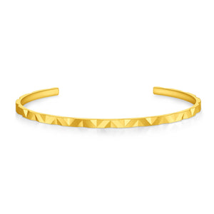 FGNA601_00 Non Collection 1st Series Oval Bangle