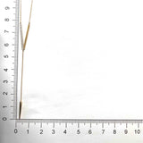 FNIG104_00 ING Diamond Lariat Necklace