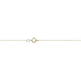 FNIG105_00 ING Diamond Lariat Necklace
